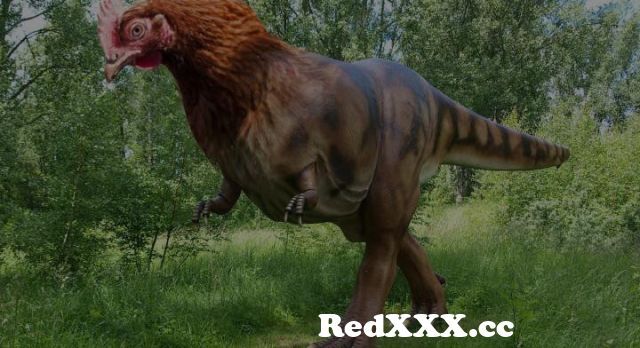 Xxx Dinosaur 720