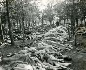 Piles of emaciated corpses at the Nazi concentration camp at Bergen-Belsen, Germany. [351 x 350] from hlbalbums pk bergen