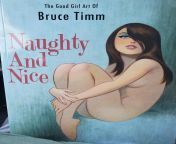 If you&#39;re a fan of Bruce Timm you need this book. [The Good Girl Art of Bruce Timm Naughty and Nice] from bruce lee video