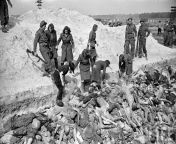 Female guards from the Bergen - Belsen concentration camp forced to handle the bodies of prisoners, 1945 from hlbalbums pk bergen