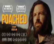 My short film "POACHED" will be screened on Tuesday Nov 12 at Studio City International Film Festival! from gadwali film